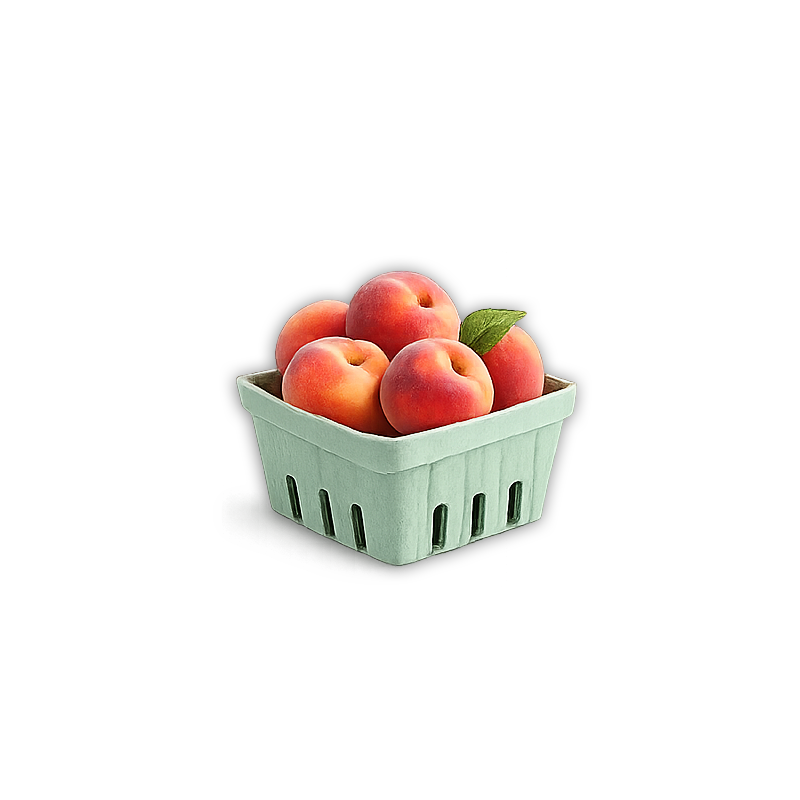 Peach Tasting Box – 5 lbs
